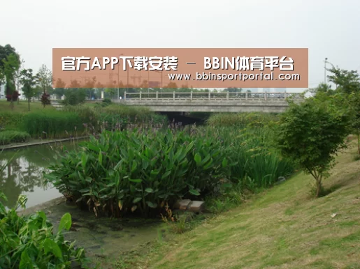 案例展示四(图1)