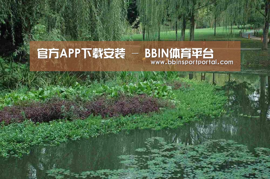 案例展示一(图1)