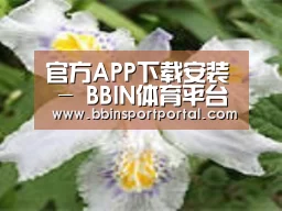 产品名称二