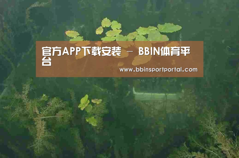 案例展示三
