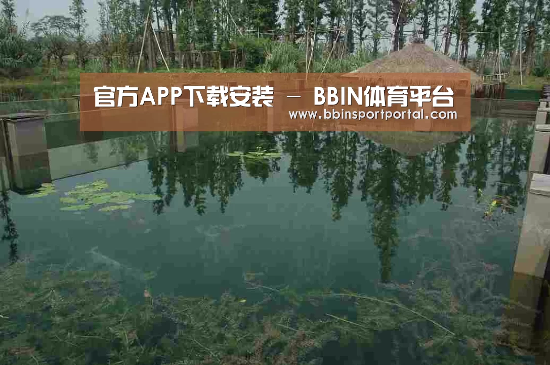 案例展示二