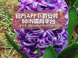 产品名称八