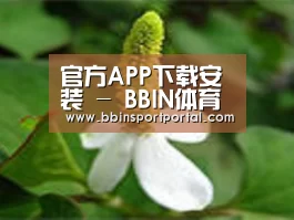 产品名称三