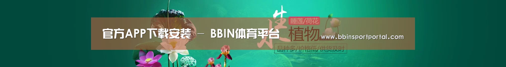 鲜花水草花卉网站模板