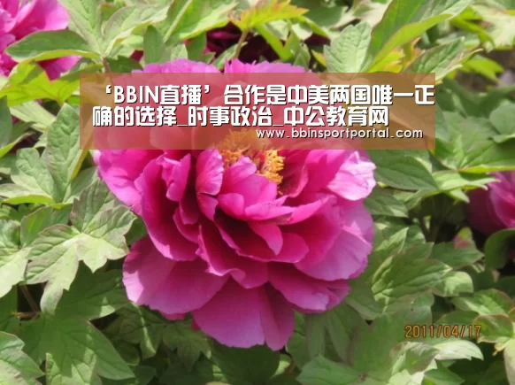 ‘BBIN直播’合作是中美两国唯一正确的选择_时事政治_中公教育网(图2) BBIN入口