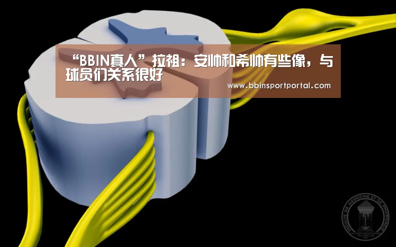 “BBIN真人”拉祖:安帅和希帅有些像,与球员们关系很好(图2) BBIN入口
