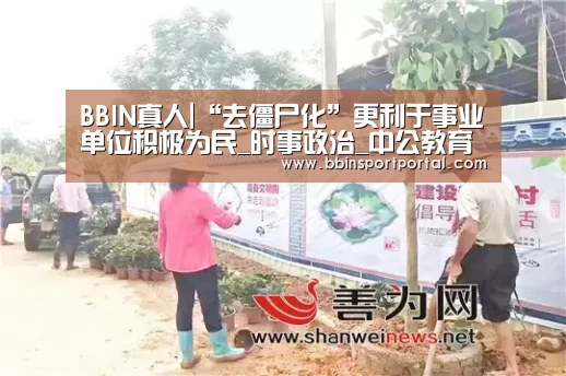 BBIN直播