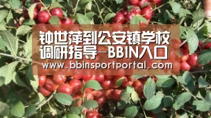 钟世萍到公安镇学校调研指导-BBIN入口(图2) BBIN百家乐