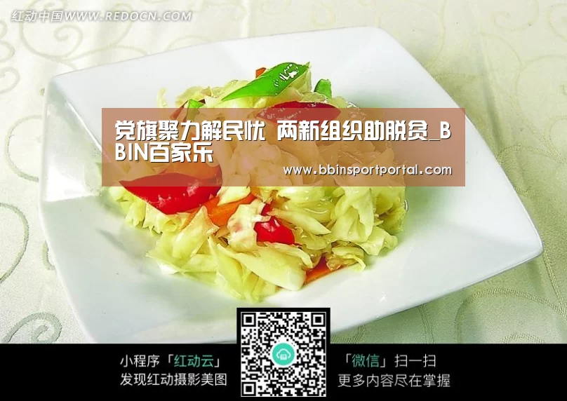 党旗聚力解民忧 两新组织助脱贫_BBIN百家乐(图1) BBIN直播
