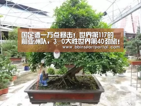 国足遭一万点暴击!世界第117的前亚洲队,3-0大胜世界第40劲旅!|BBIN入口(图2) BBIN入口