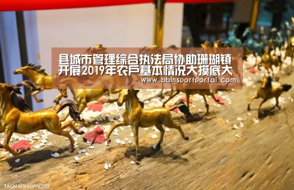 县城市管理综合执法局协助珊瑚镇开展2019年农户基本情况大摸底大调查工作_BBIN真人(图2) BBIN直播