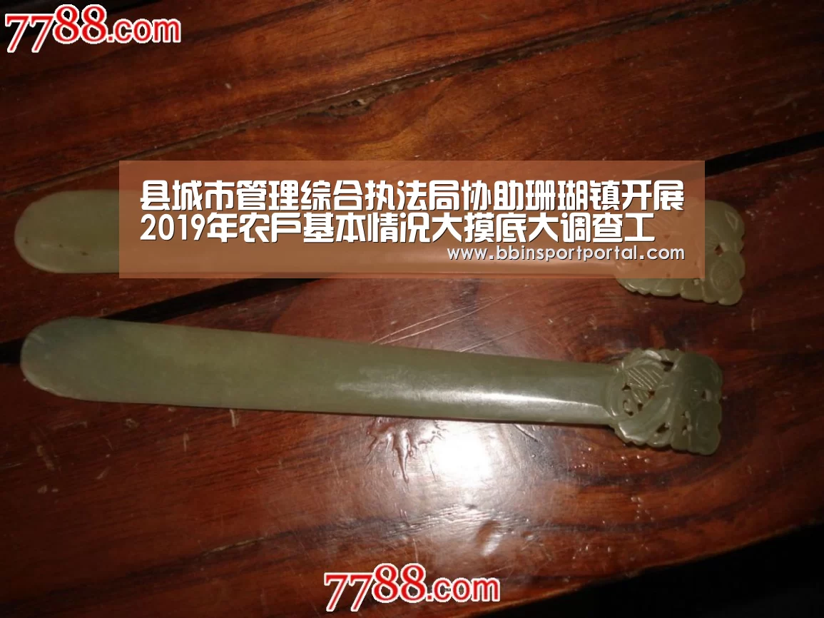 县城市管理综合执法局协助珊瑚镇开展2019年农户基本情况大摸底大调查工作_BBIN真人(图4) BBIN入口