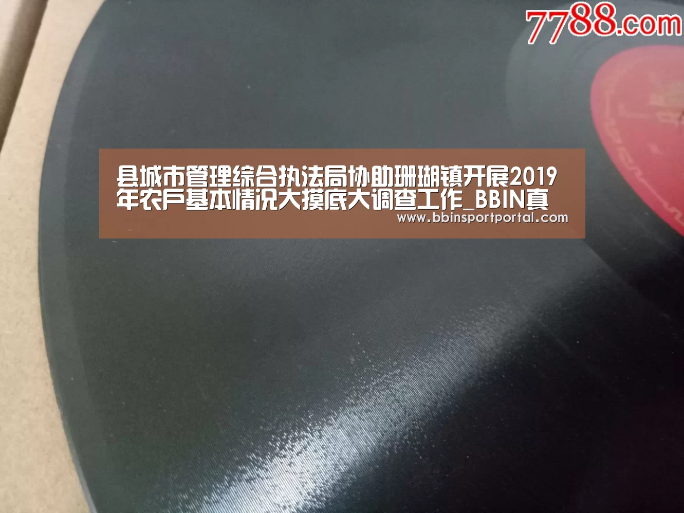 县城市管理综合执法局协助珊瑚镇开展2019年农户基本情况大摸底大调查工作_BBIN真人(图3) BBIN百家乐