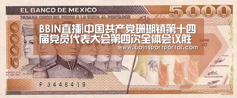 BBIN直播|中国共产党珊瑚镇第十四届党员代表大会第四次全体会议胜利召开(图2) BBIN百家乐