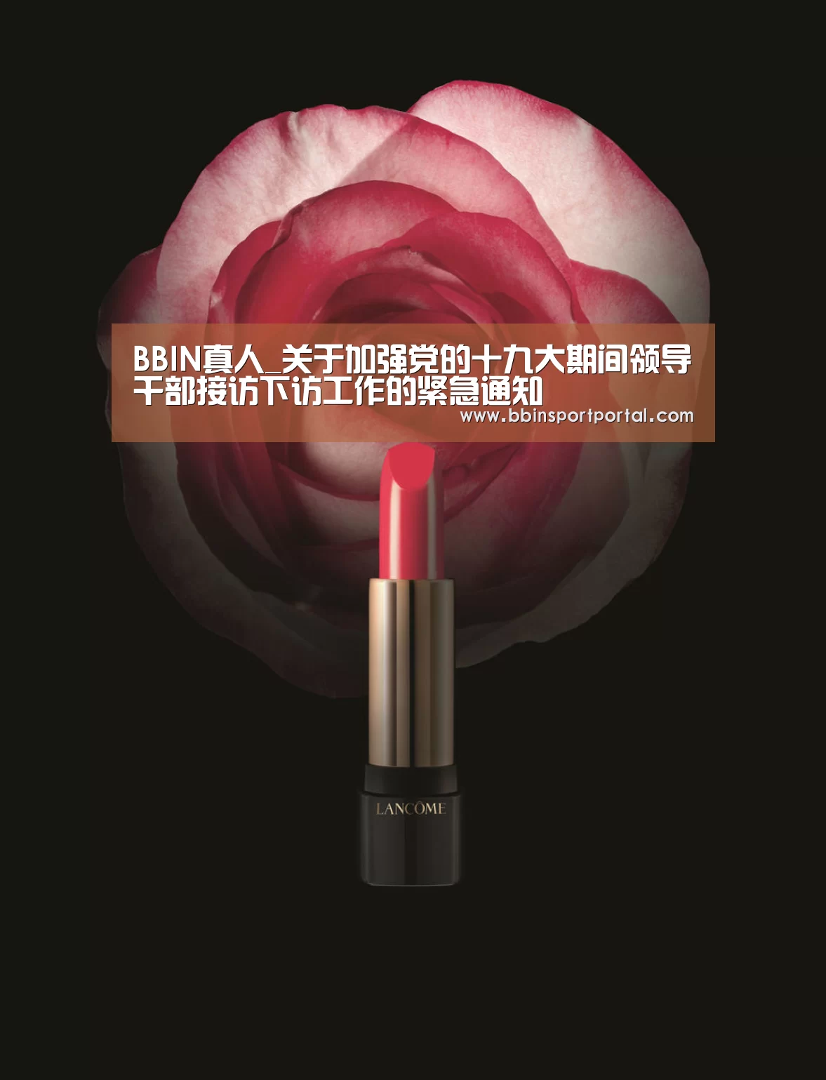 BBIN真人_关于加强党的十九大期间领导干部接访下访工作的紧急通知(图2) BBIN百家乐