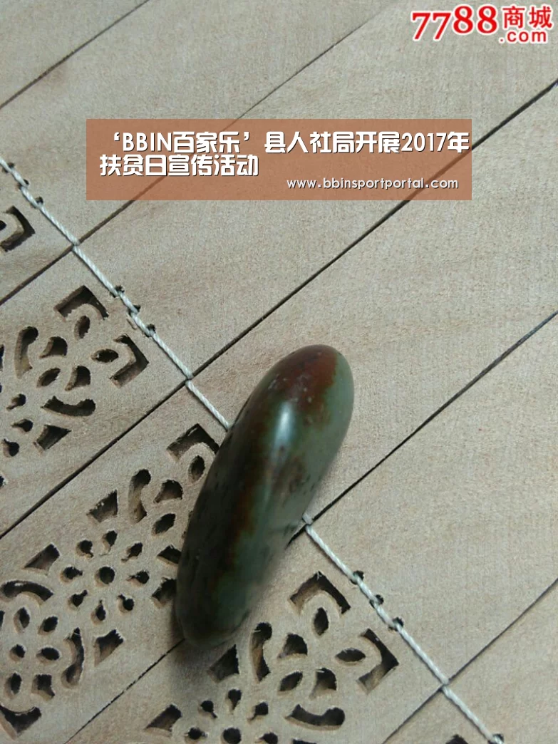 ‘BBIN百家乐’县人社局开展2017年扶贫日宣传活动(图4) BBIN真人