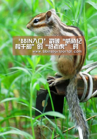 ‘BBIN入口’戳破“威胁纪检干部”的“纸老虎”_时事政治_中公教育网(图1) BBIN入口
