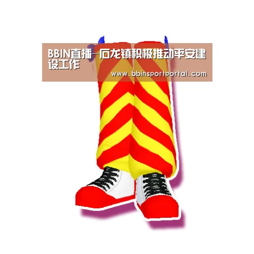 BBIN直播-石龙镇积极推动平安建设工作(图3) BBIN入口