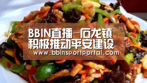 BBIN直播-石龙镇积极推动平安建设工作(图2) BBIN真人