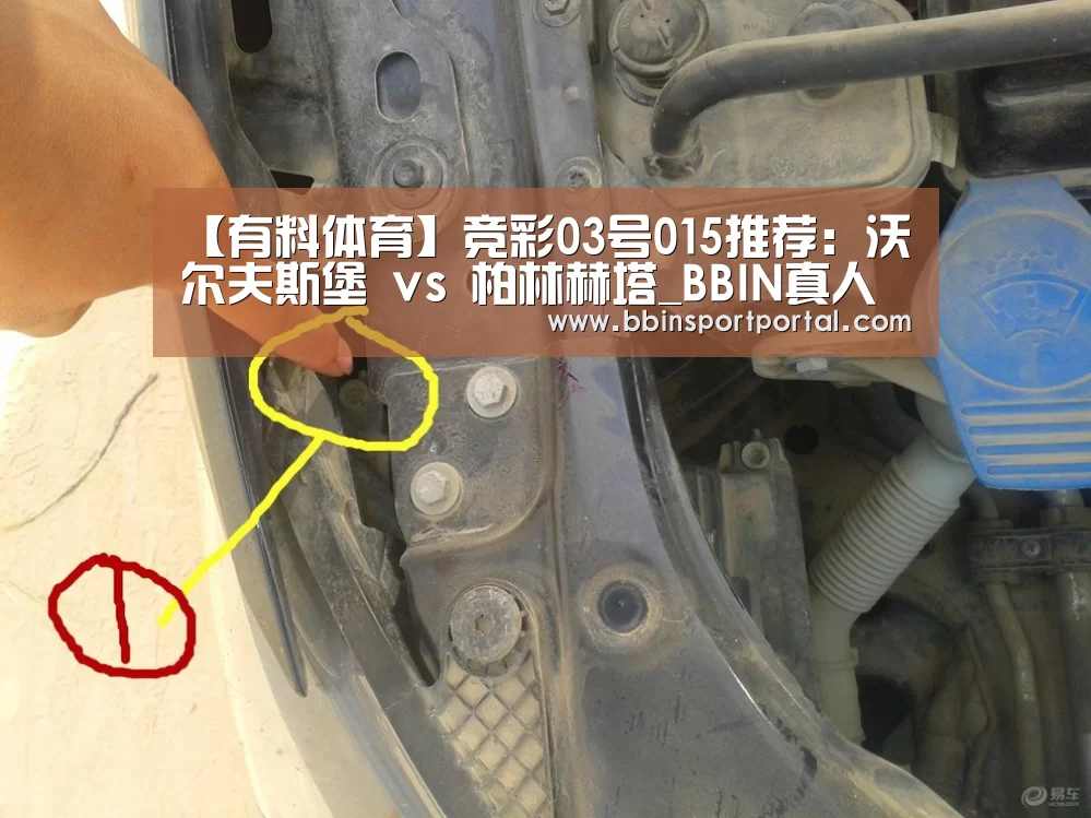 【有料体育】竞彩03号015推荐:沃尔夫斯堡 vs 柏林赫塔_BBIN真人(图4) BBIN入口