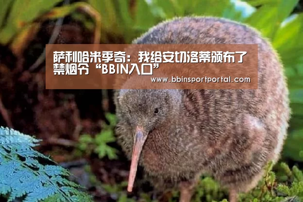 萨利哈米季奇:我给安切洛蒂颁布了禁烟令“BBIN入口”(图3) BBIN百家乐